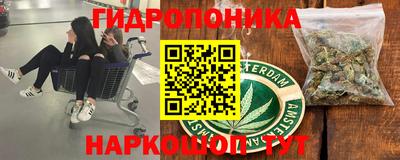 PSILOCYBIN Кингисепп
