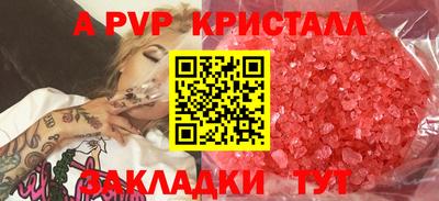 PSILOCYBIN Кингисепп