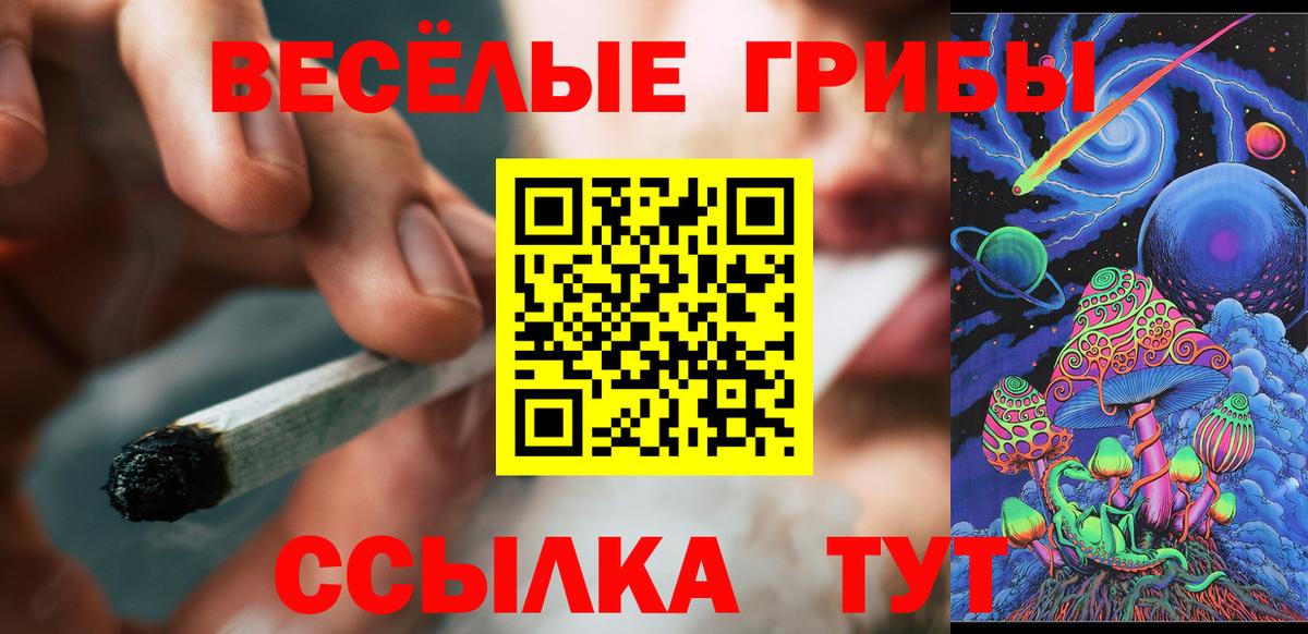 Псилоцибиновые грибы прущие грибы  Вход с VPN  Корсаков 