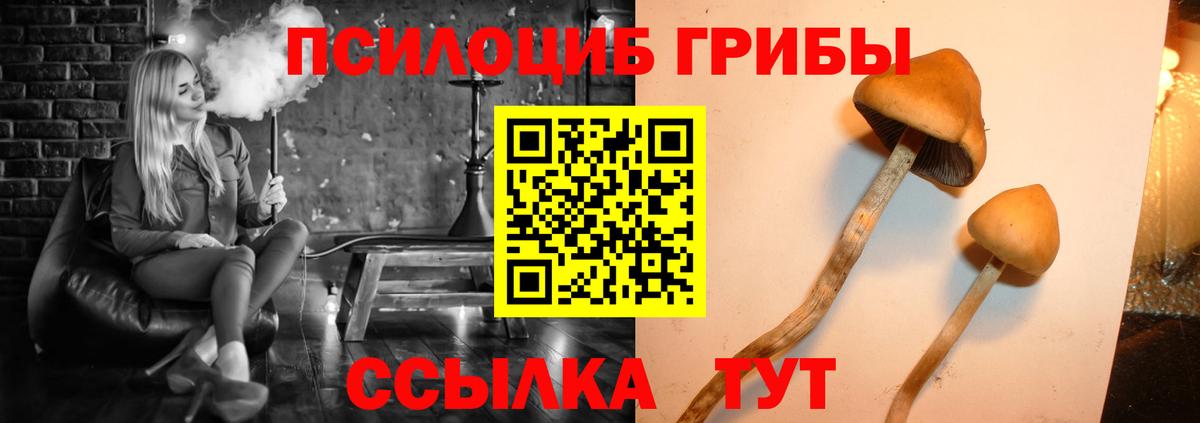 Галлюциногенные грибы GOLDEN TEACHER Корсаков
